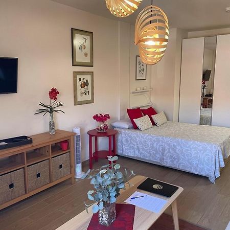 Apartamento Acogedor Y Centrico - Plaza Del Charco Пуэрто-де-ла-Крус Экстерьер фото